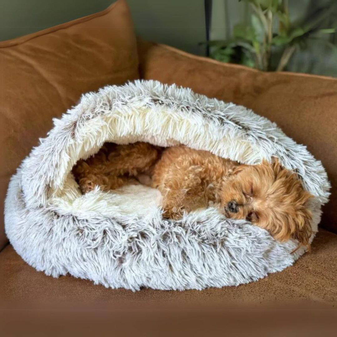 Pet Nest - A Cozy Retreat for Your Beloved Pet